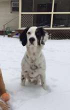 After hip surgery, Hunter will have a normal life.
