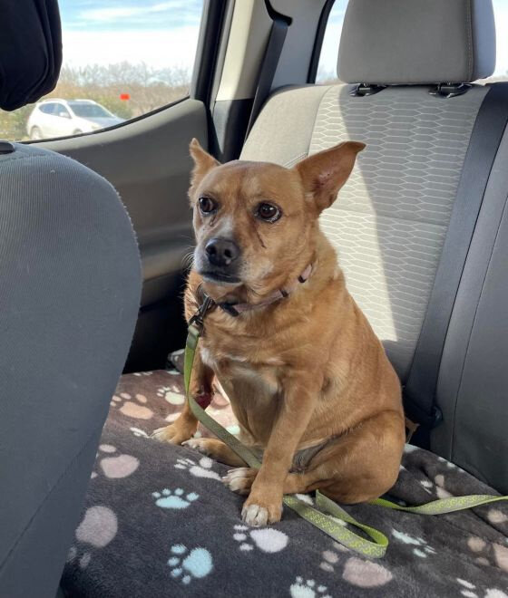All better and ready for her freedom ride