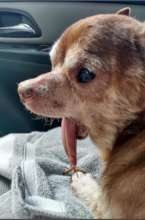 Nicky's jaw had deteriorated and he had awful skin