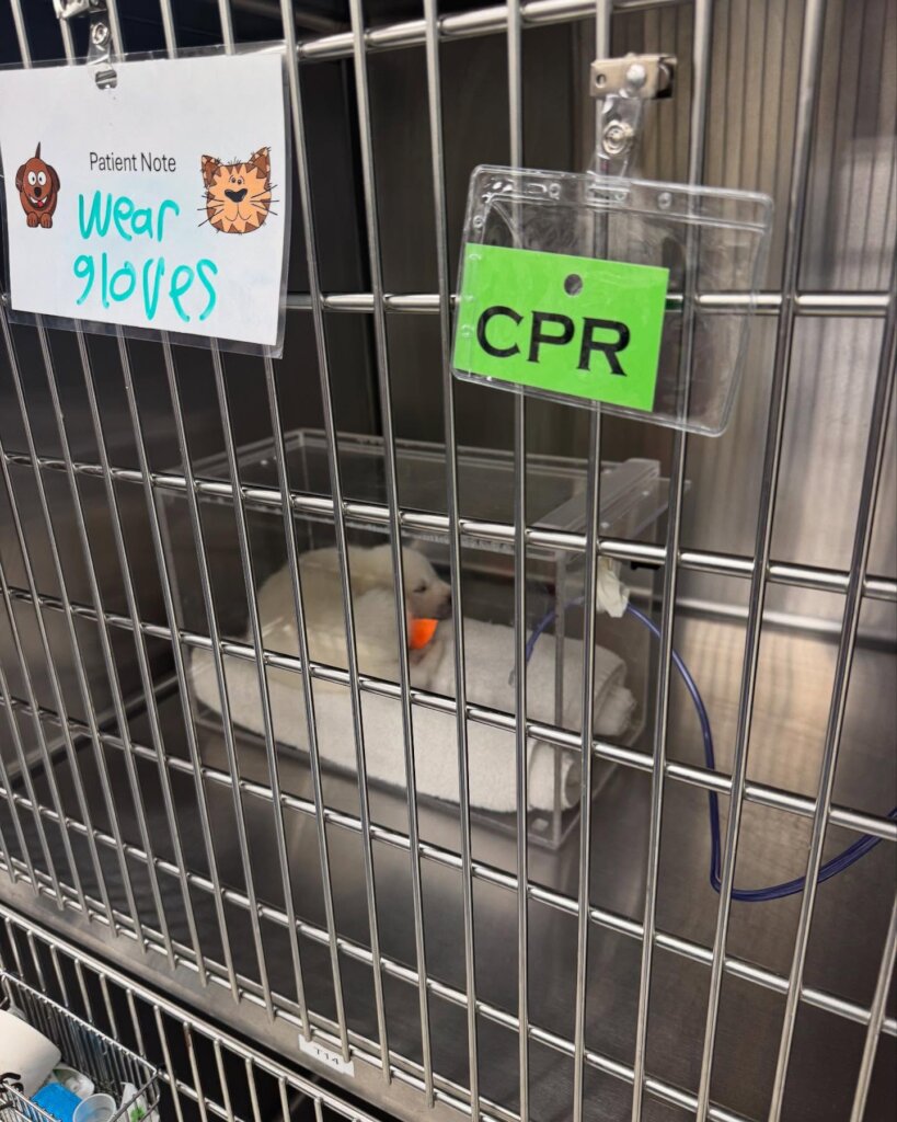 Getting oxygen in the hospital