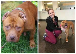 Rosie before her surgery (l.) and after
