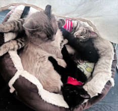 A loving big brother