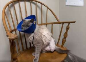 After surgery
