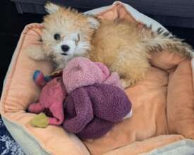 Spoiled and loved!