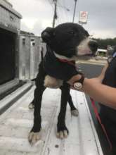 Thora when she was rescued