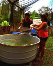 Fresh water bath at the center