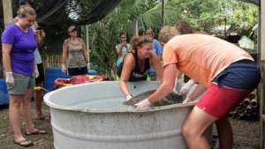 Biologist Beth and team attending a turtle patient