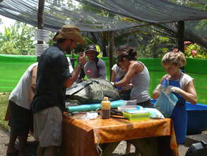 Rescue center