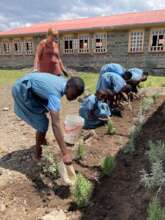 Learning how to care for the plants and trees