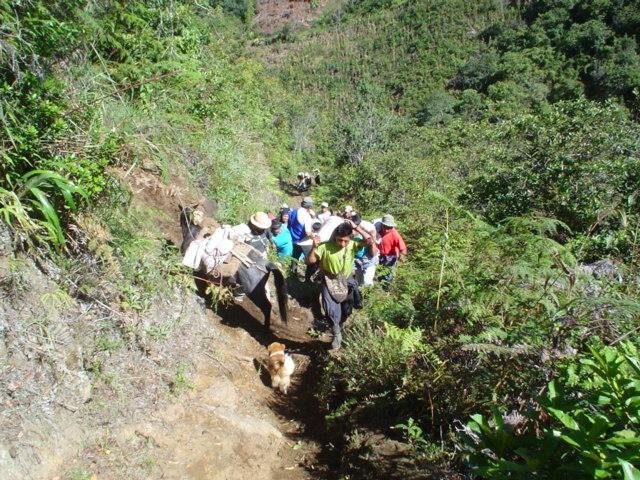 Provide Renewable Energy to 22 Colombian families