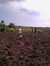 Installation of the new tree farm in Iganga