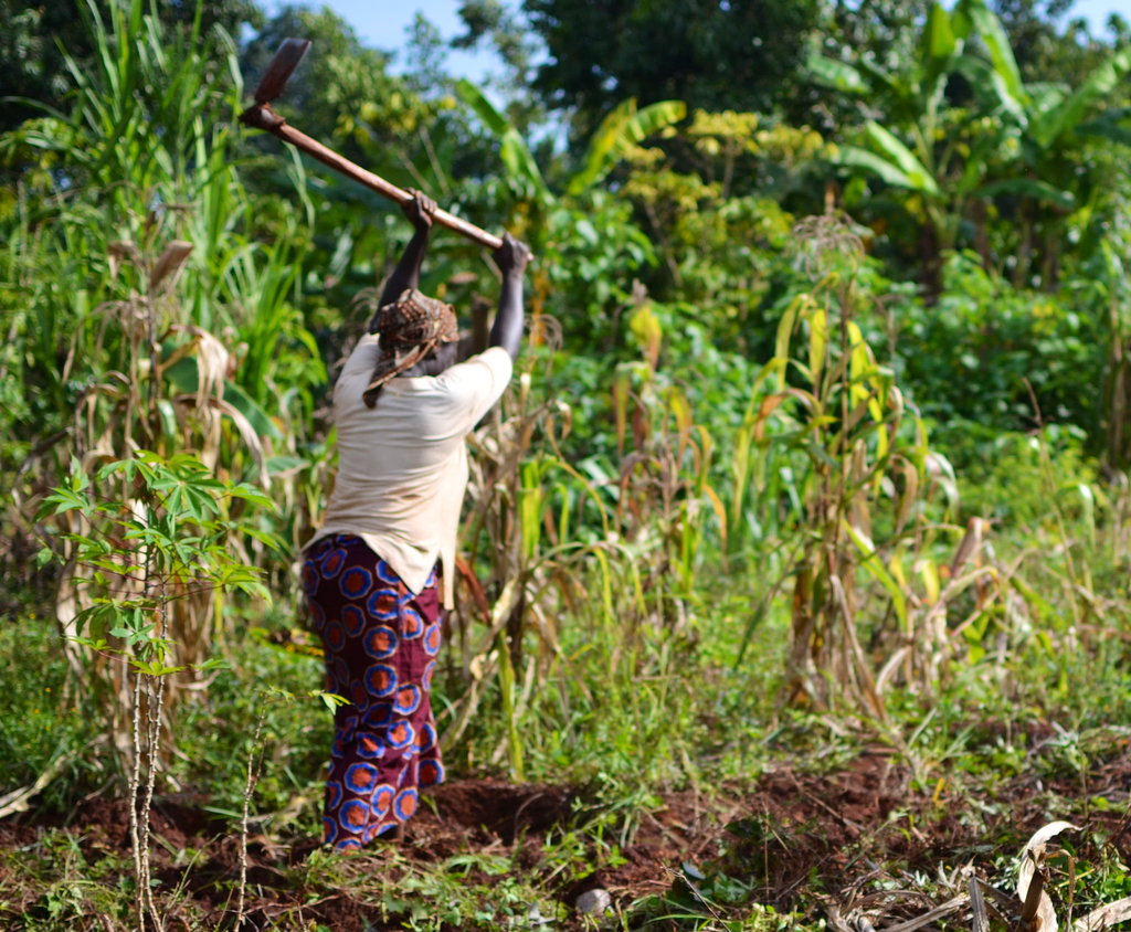 Educational Center to Empower 500 Rural Ugandans