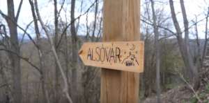 New wooden signpost in the forest