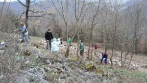 'Save the Castle' days in March
