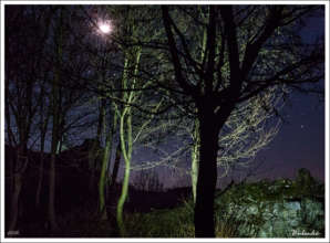 Szadvar by night (G. Bubenko)