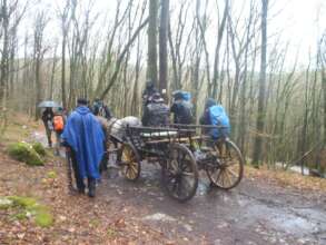 Arrival by horse-drawn carriage