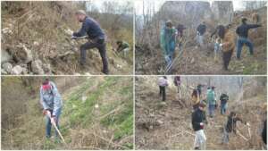 The vegetation is under attack!!