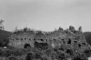 'Porkolab' wall in 1993