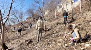 Clearing the south side of the castle
