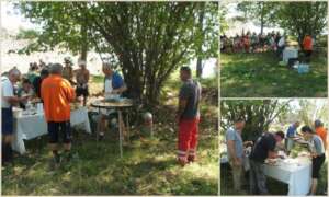 Lunchtime in the shadow of the trees