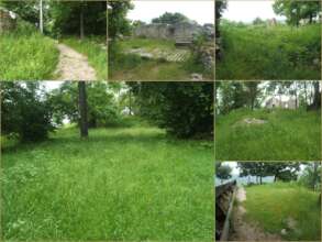 The castle before mowing