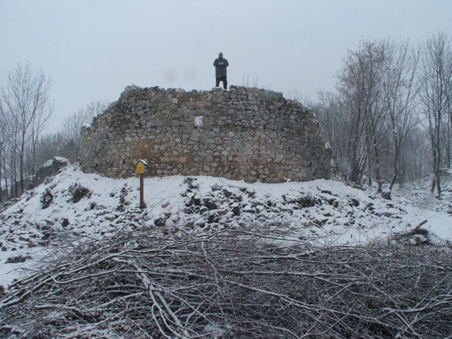 Lisztes tower 2009 March