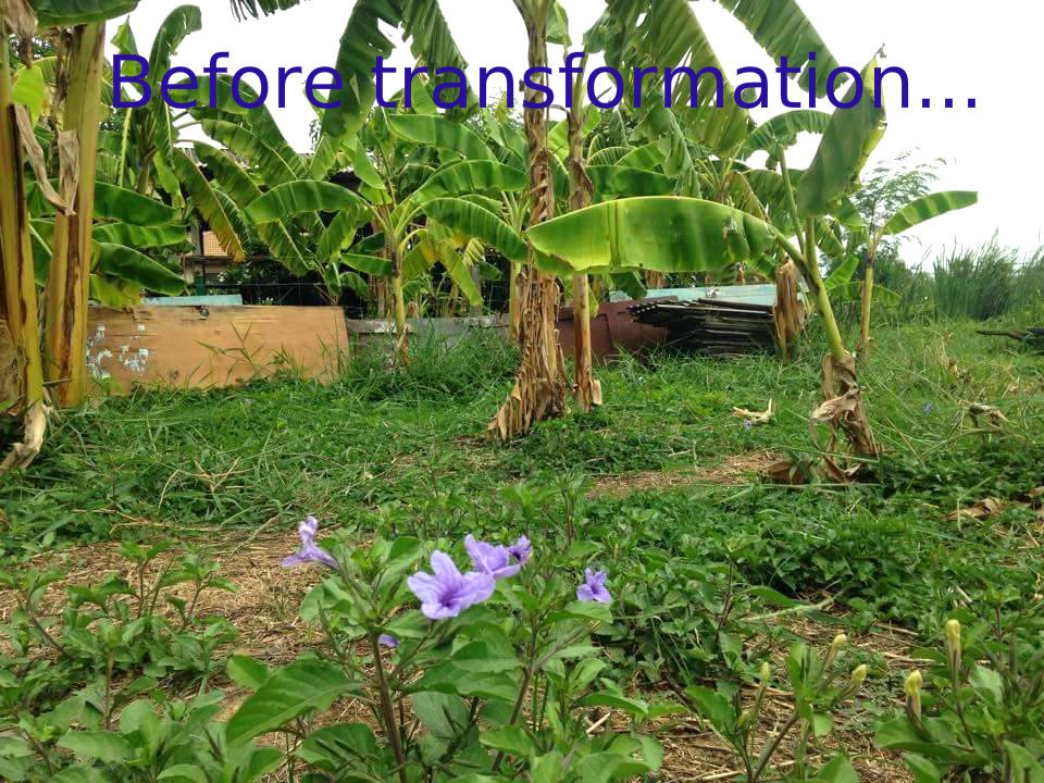Sensory Garden for Disabled Children in Thailand