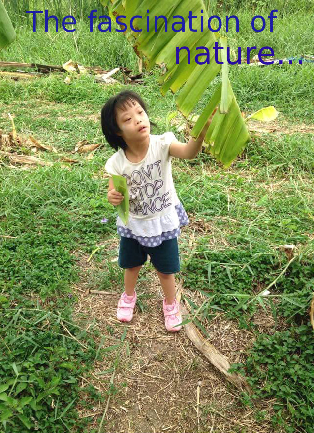 Sensory Garden for Disabled Children in Thailand