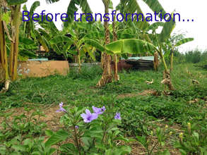 The plot of land before the transformation begins