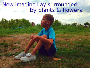 The tranquility of nature has an immediate impact