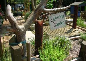 What CCD's sensory garden could look like.