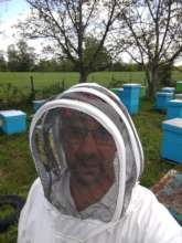 You helped this man to recover some of his bees