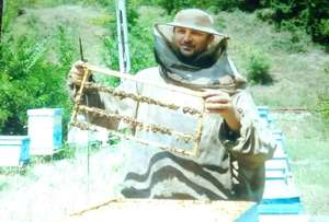 Bee breeding business started