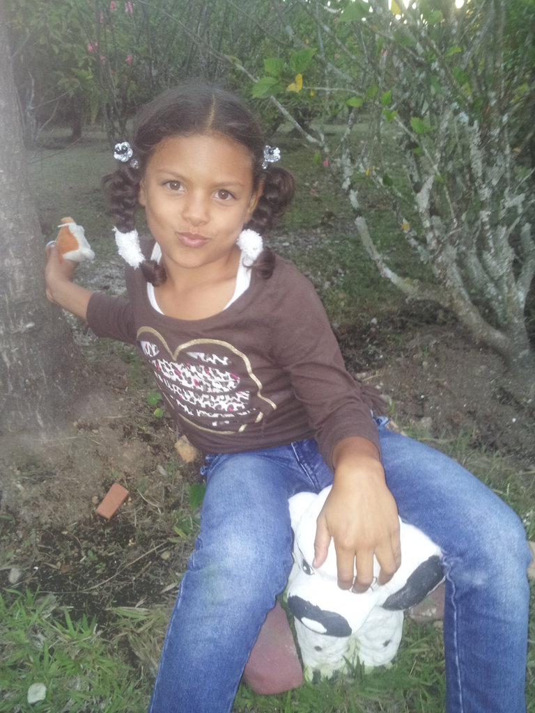 Rebuild orphanage for 20 Colombian girls