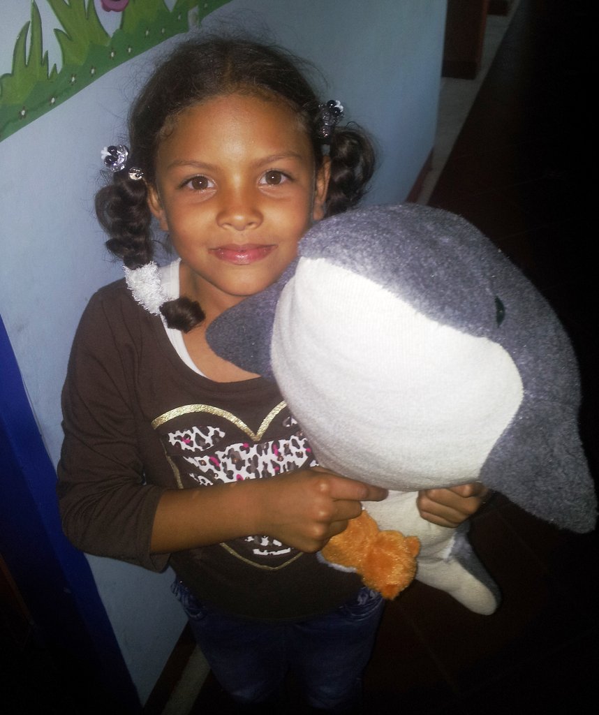 Rebuild orphanage for 20 Colombian girls