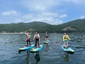 trying SUP