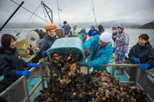 We held a hands-fishing tour!!