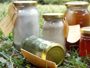 Products from the Projects
