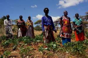 Naatum's Women's Group, Laikipia