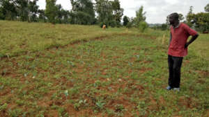 Surverying the degraded land