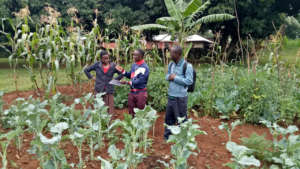 Training on proper soil regeneration
