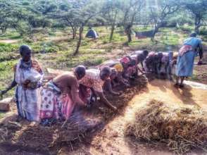 Natuum Women Cob Building