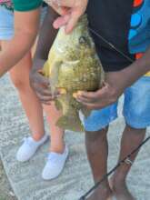 Catching fish