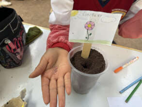 Planting new seeds