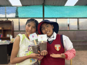 Planting seeds in the garden