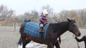 Horse riding lessons are free for children