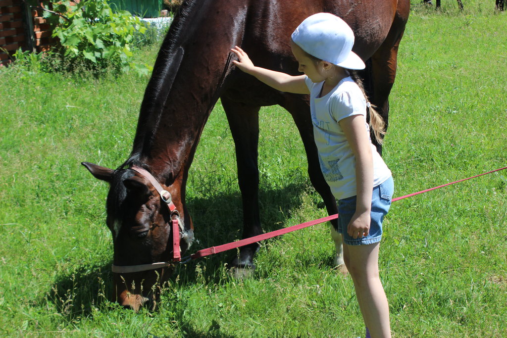 Help Children from Ukrainian East