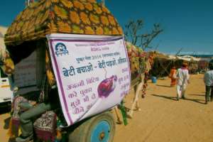 Camel cart Road show in pushkar fair