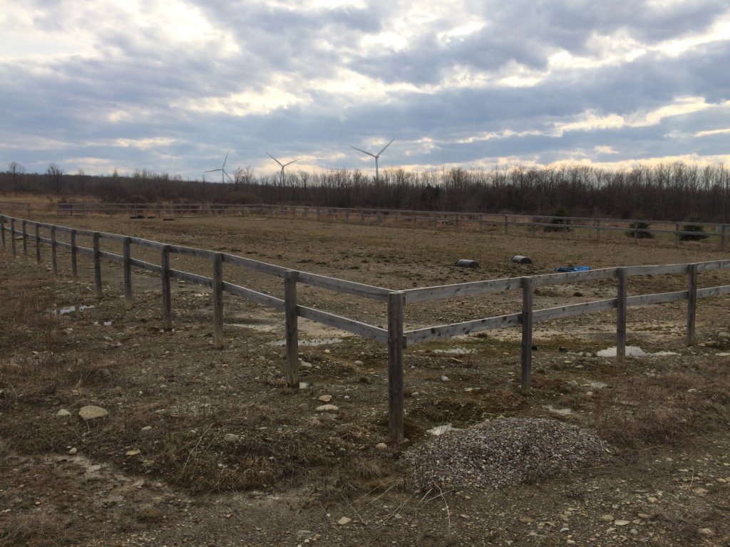 Footing for Training Area for Draft Horse Rescue