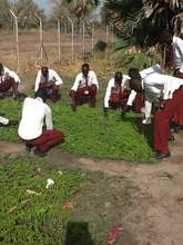 Herb Garden